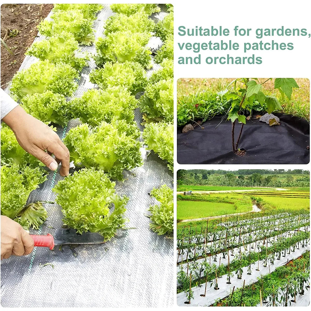 Weed Control Cloth Greenhouse Anti-erosion Weed Barrier Cloth Agricultural Tree Moisturising Anti-Weed Mesh Water Permeable Mat
