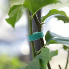 Self Adhesive Garden Tape Support For Plants Growing Climbing Reusable Plant Support Nylon Cable Tie Fastener Garden Accsesories
