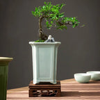 Creative Geyao Ice Crack Chinese Style Orchid Plant Pot Flowerpot Desktop Ornaments Vase Bonsai Container Planter Home Decor