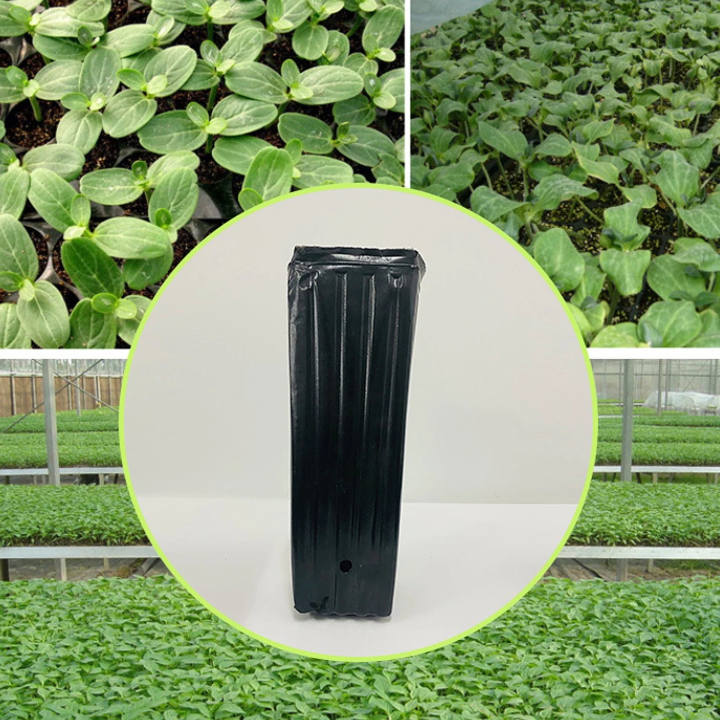 20pcs Tall Deep Tree Pots, Plant Nursery Tall Flower Plant Containers Starting Pots Plant Seedling Nursery Pots for Outdoor Gard