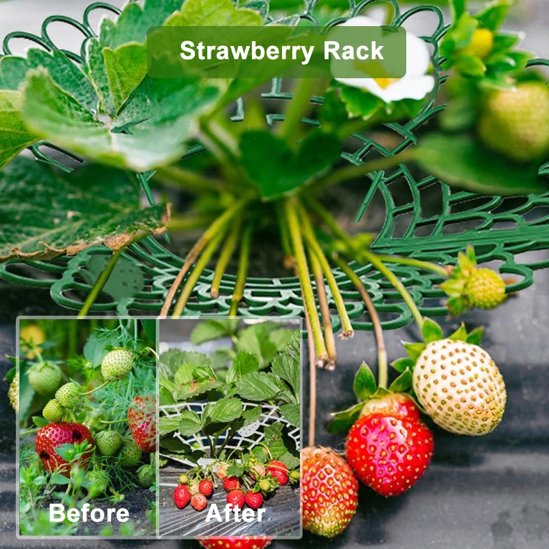 Strawberry Support Farming Supplies Mini Greenhouse Accessories Vegetable Garden Items Plant Protector Greenhouse for Plants