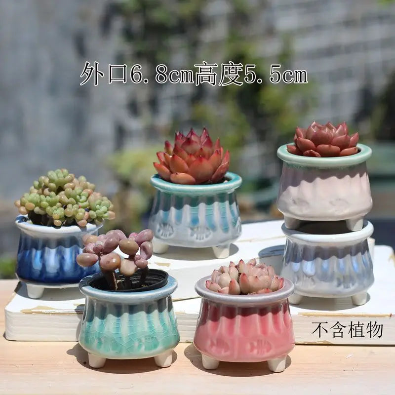 Combination Ceramic Breathable Small Flowerpot Cute Thumb Succulent Plant Flowerpot Home Mini Garden Bonsai Potted Flower Pot