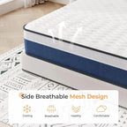 Vesgantti Tight Top 10/12 Inch Innerspring Hybrid Mattress/Bed in a Box, Medium Firm Plush Feel - Memory Foam and Pocket Spring