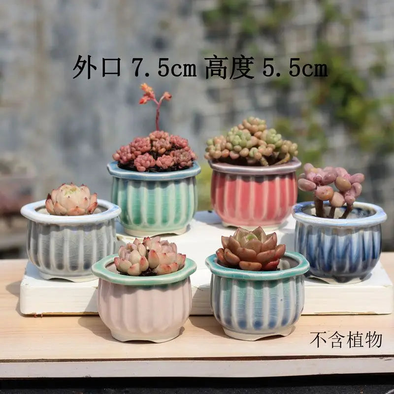 Combination Ceramic Breathable Small Flowerpot Cute Thumb Succulent Plant Flowerpot Home Mini Garden Bonsai Potted Flower Pot