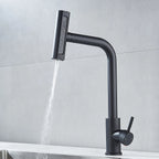 4-Mode Black Pull-Out Kitchen Faucet | RV & Home Hot/Cold Sink Faucet