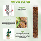 Plastic Moss Pole for Plants Monstera,24in/36in/48 inch Plant Poles for Climbing Plants Indoor Plant Support Garden Growth Stake