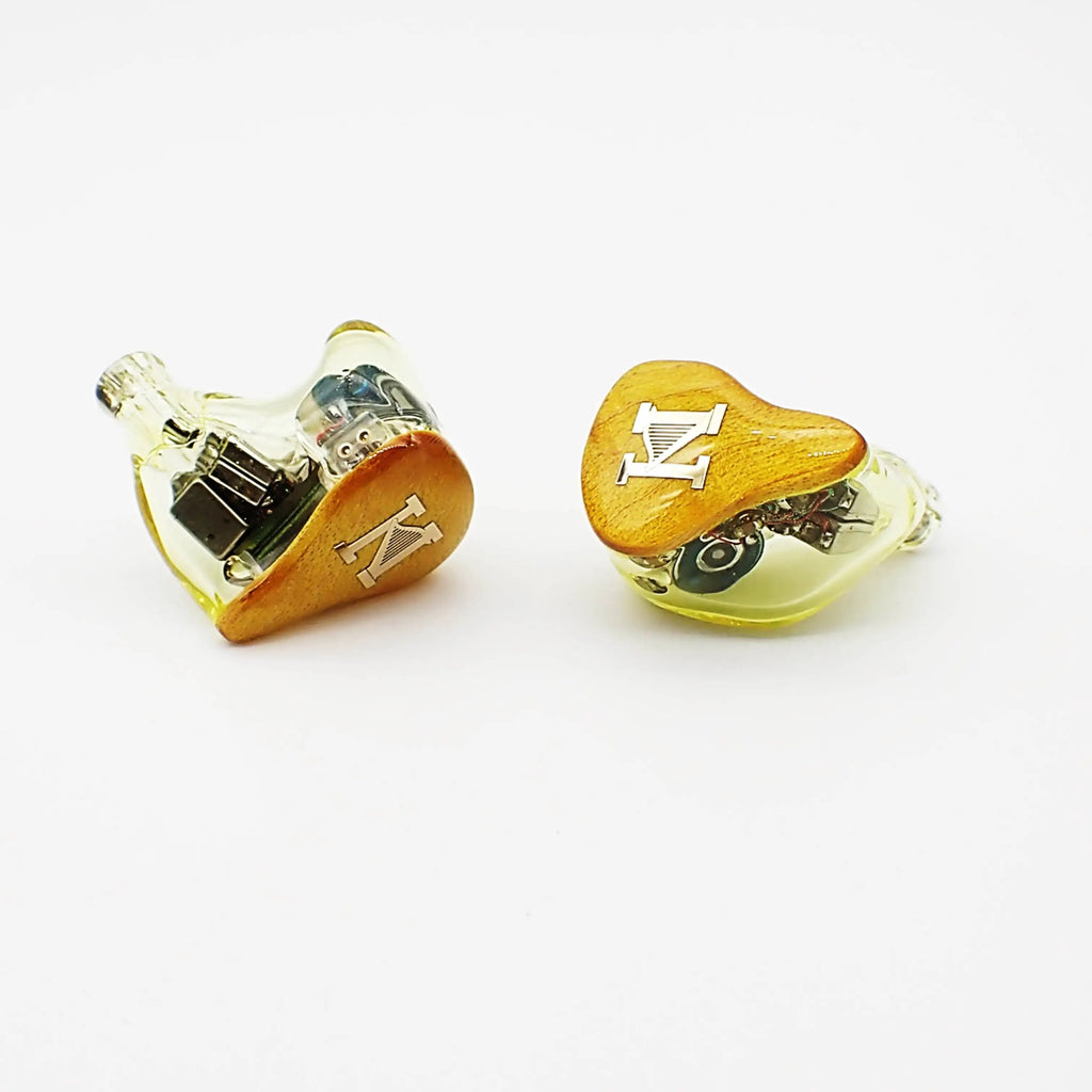 ISN Audio EST80 2EST + 4BA+ 2DD 8-Driver Hybrid 2Pin 0.78mm Detachable HiFi Earphone Audiophile Wired IEMs In-Ear Earbud