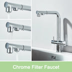 Rozin Water Purifier Kitchen Faucet Black Pull Out Flexible Filter Kitchen Faucets Crane Brass 2 in 1 Hot Cold Water Mixer Tap