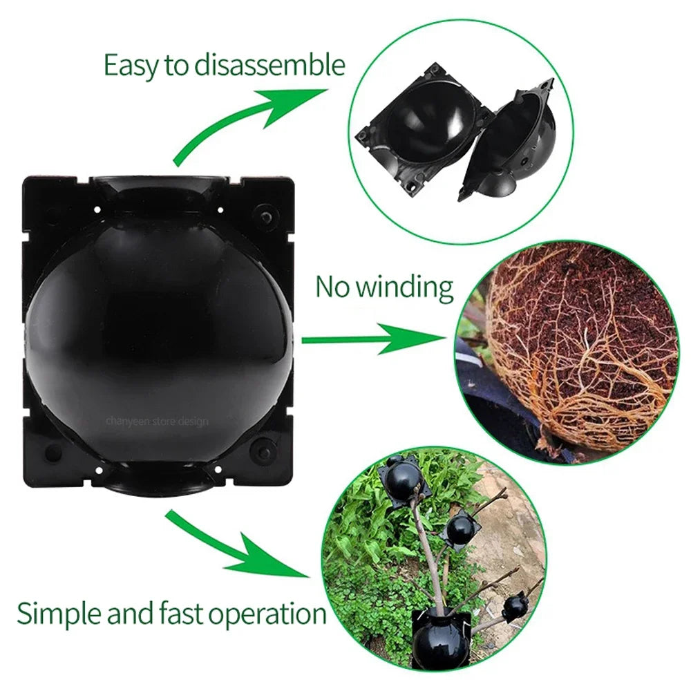 1/3/6/9Pcs Plant Rooting Ball Transplant Nursery Ball Sapling Propagation Grafting Breeding Case for Home Gardening Tools