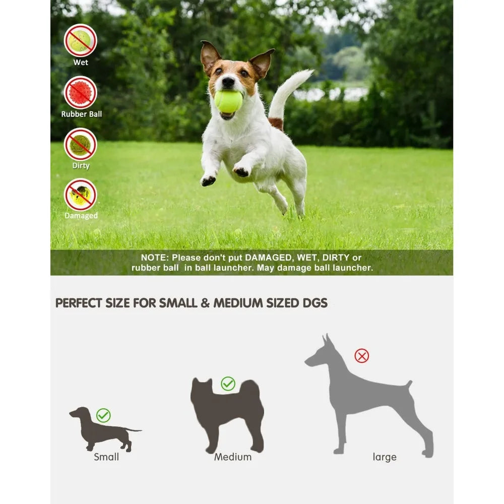 Dog Ball Launcher with 12 Tennis Balls - Automatic Fetch & Training Toy | AlluCanFind