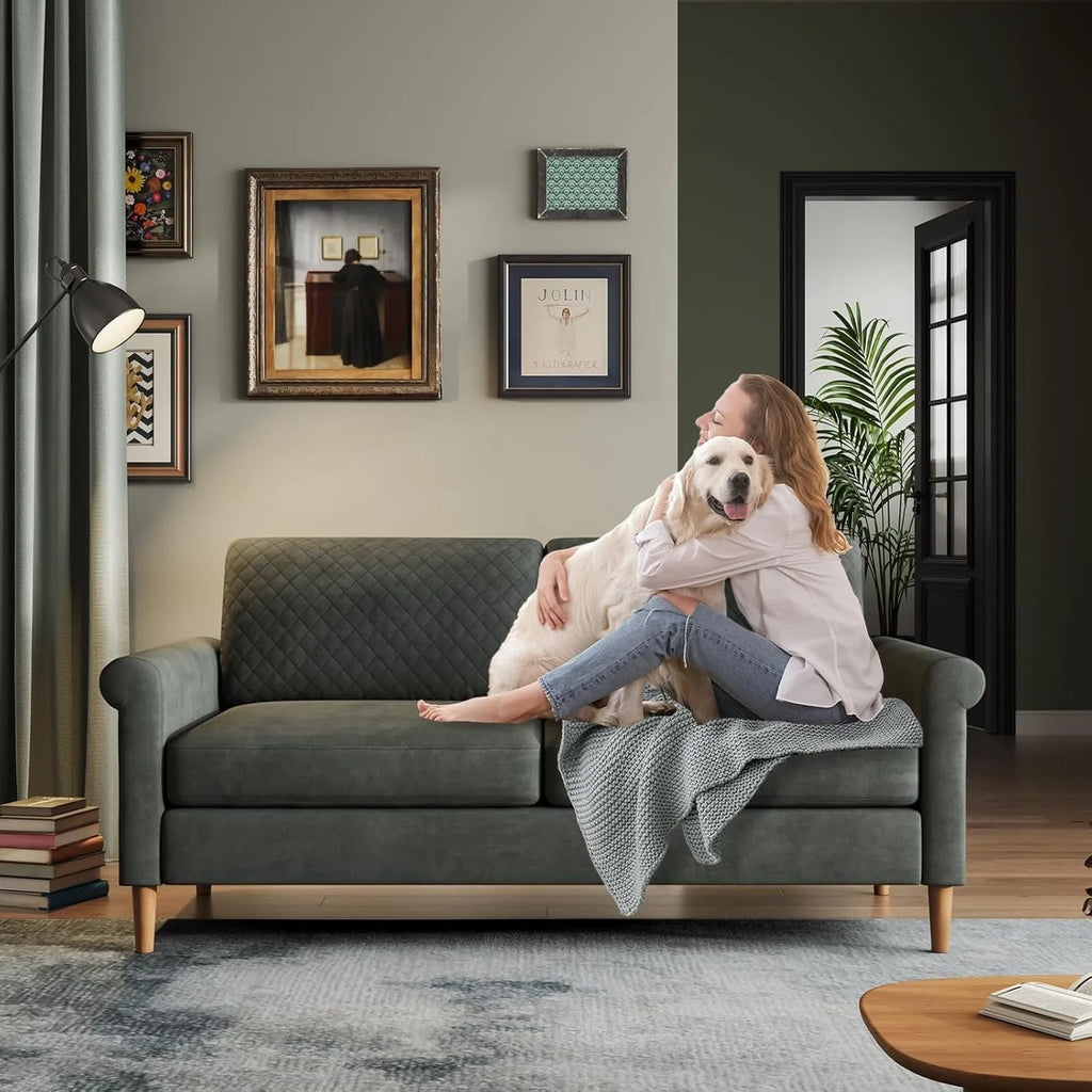 Small Comfy Loveseat Sofa