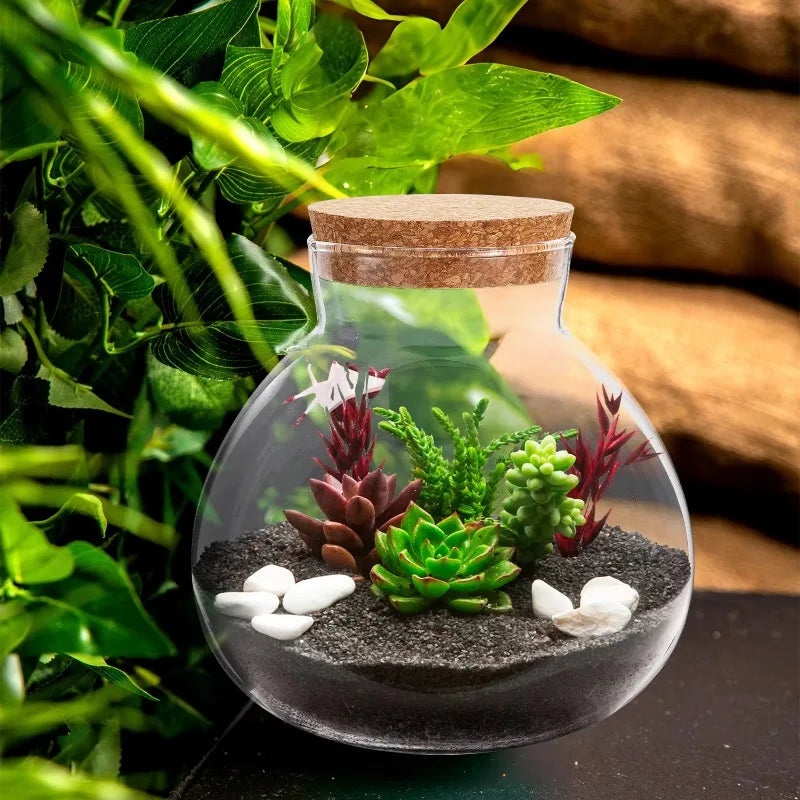 Micro Landscape Ecological Bottle Terrarium Jar Large Kit Moss Plant Drink Containers Fish Tank Planter Home Decor Glass