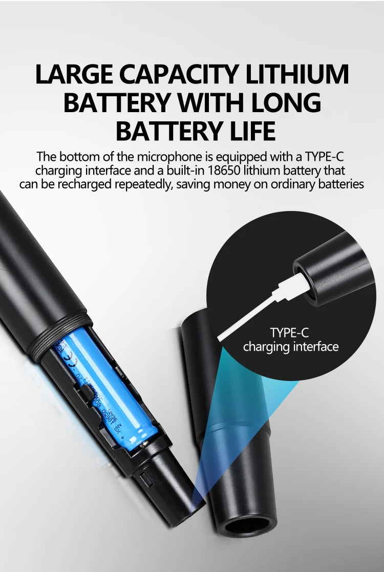 Professional wireless microphone 2 channels charging handheld home karaoke KTV performance singing microphone