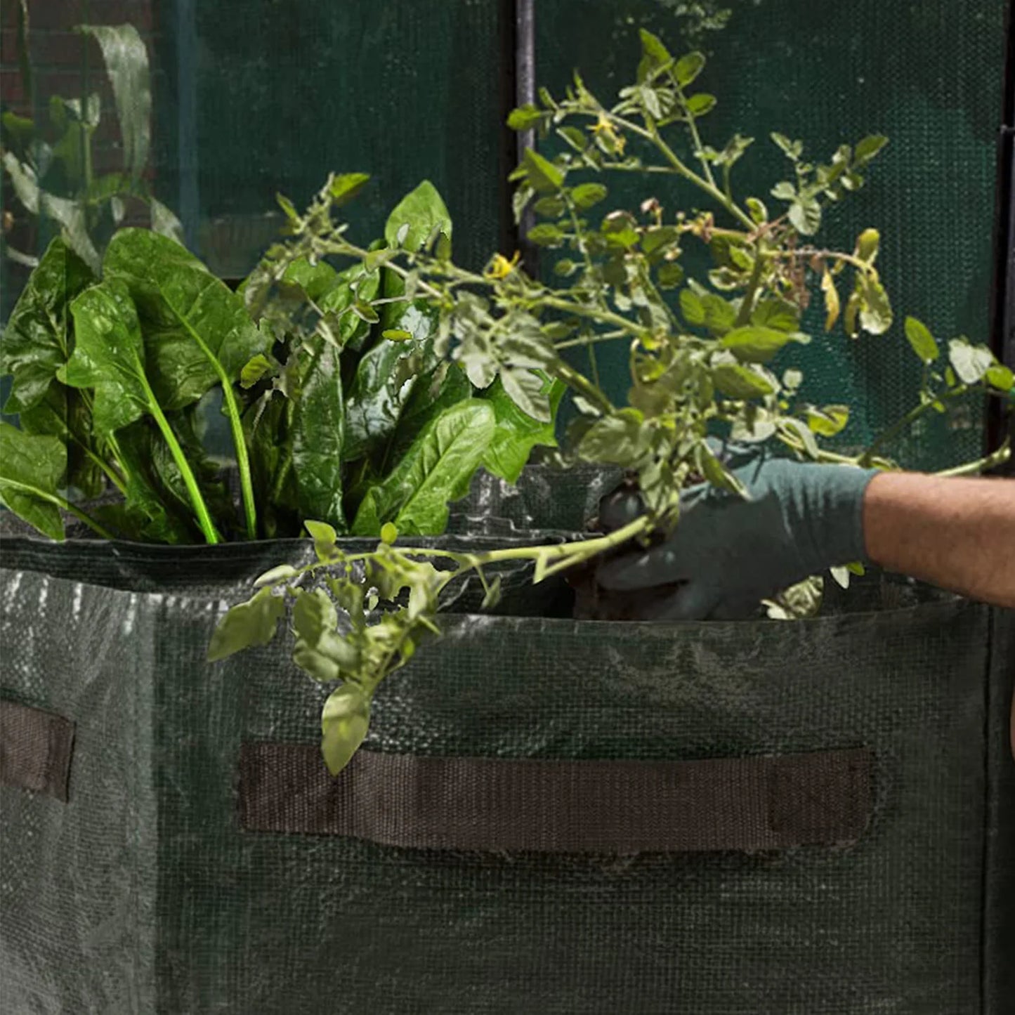 27 Galon Garden Planting Nursery Pot 6 Grids Waterproof Breathable Warm Bags for Carrots Onions Peanut Flowers Planter Grow Bags