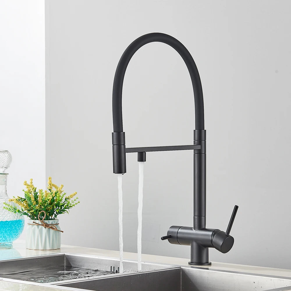Black Filtered Kitchen Faucet Pure Water Pull Out Brass Sink Faucet Dual Handle Hot&Cold Drinking Water Purified Mixer Taps