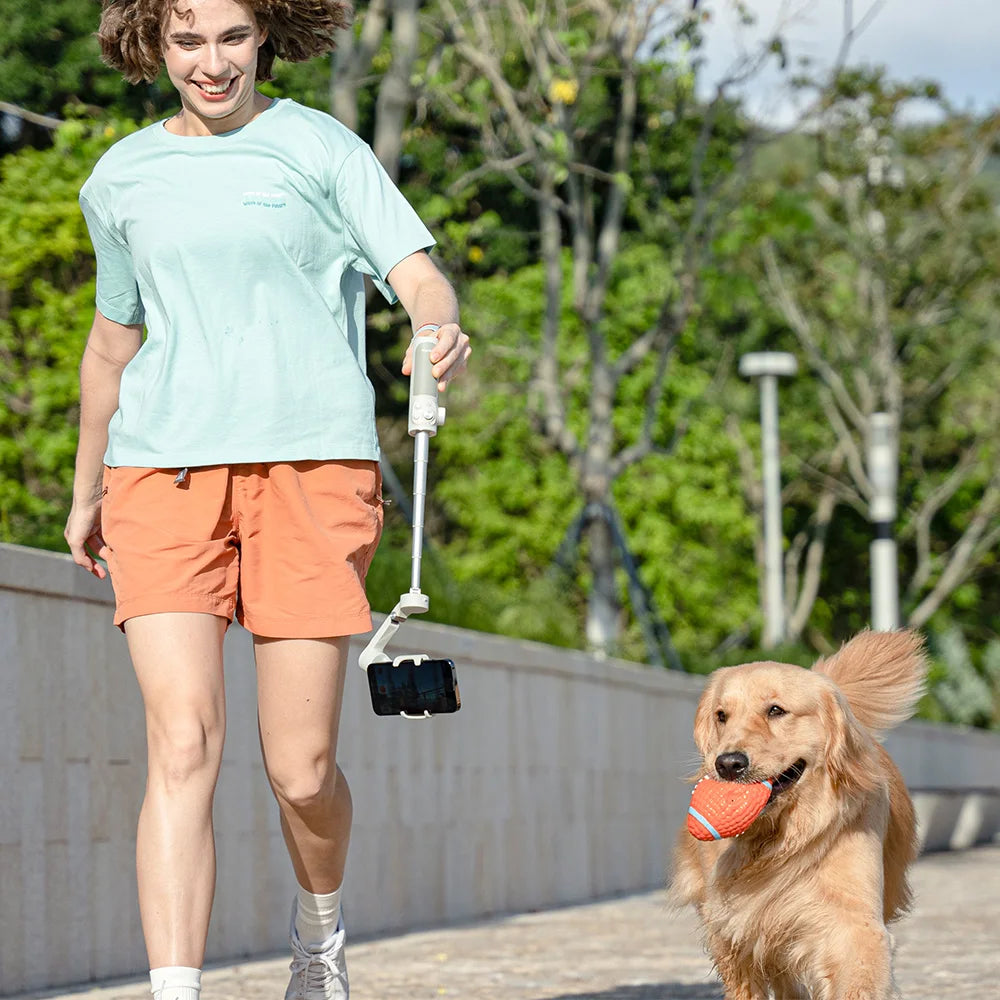 FeiyuTech VB4 Kit Smartphone Gimbal Stabilizer with AI Tracking & Integrated Fill Light, 216mm Extension Rod, for iPhone/Android