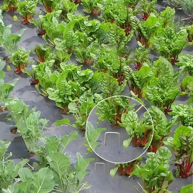 100pcs15cm galvanized landscape staples, outdoor decorative stakes, anti weed barrier fabric anti rust staples, U-shaped tent