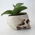 Resin Human Skull Model Flower Pot Shining Fancy Multifunctional Fruit Plate Storage Container Tank Container Home Decor Crafts