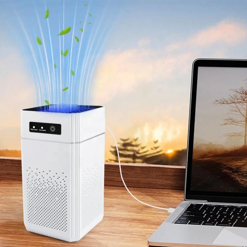 Professional home air purifier for removing formaldehyde odor and rele