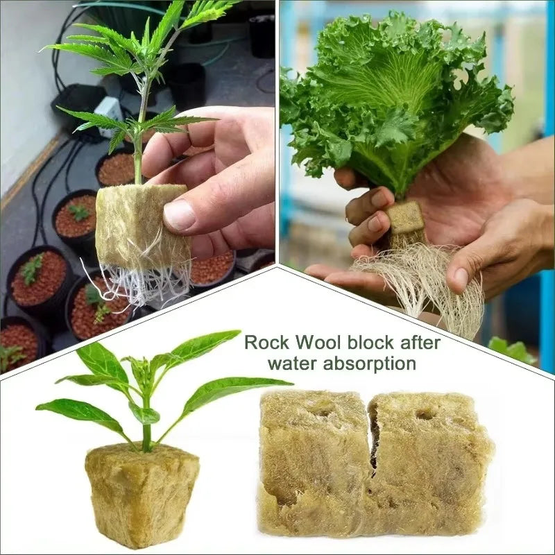 Sponge Block Starter Plug Rock Wool Grow Cubes Seedling Starter Plant Cube Hydroponic Media Plug Greenhouse Garden Nursery Pots