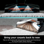 Shark EX201 CarpetXpert Upright Carpet, Area Rug & Upholstery Cleaner with StainStriker, Built-in Spot & Stain Cleaner, Perfect