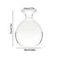 Avocado Hydroponic Vase Seed Cultivation Containers For Avocado Pits Vase For Transparent High Borosilicate Glassware