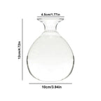Avocado Hydroponic Vase Seed Cultivation Containers For Avocado Pits Vase For Transparent High Borosilicate Glassware