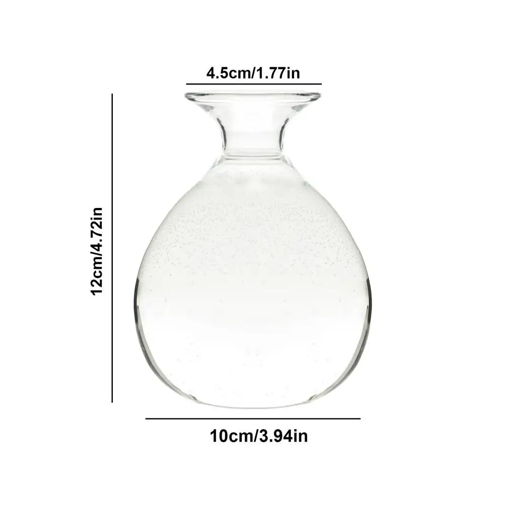 Avocado Hydroponic Vase Seed Cultivation Containers For Avocado Pits Vase For Transparent High Borosilicate Glassware