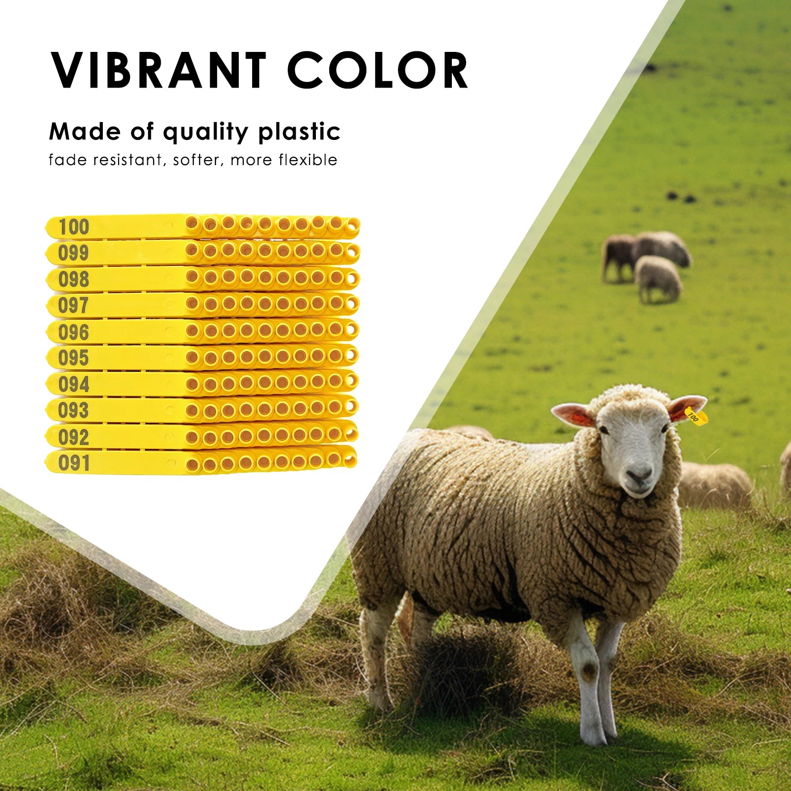 Farm Animal Ear Tag Pliers Dog Rabbits Sheep Ear Tags One-piece Nylon Material Sheep Laser Ear Tag 100 pcs