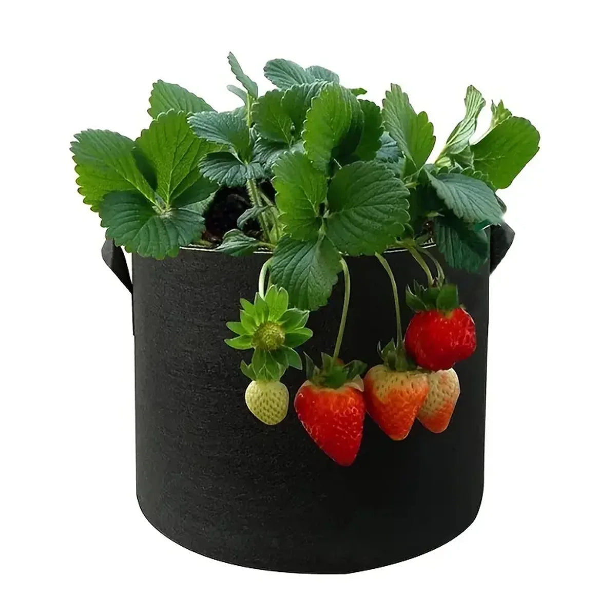 5PCS Felt Grow Bags 5-15 Gallon Potato Fabric Planting Bags Vegetable Strawberry Seedling Bags Breathable Flower Planting Bags
