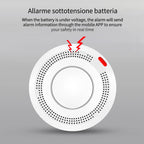 Tuya Smart WiFi Smoke Sensor Alerts & 85dB On-Site Alarm When Smoke Detected Ensure Safety Anytime Smartlife APP Contorl