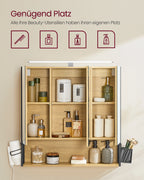 VASAGLE Mirror Cabinet Bathroom with Lighting Cable