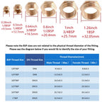 Brass Pipe Fitting 6/8/10/12/14/16mm Hose Barb Tail 1/8" 3/8" 1/4" BSP Male Connector Joint Copper Coupler Adapter
