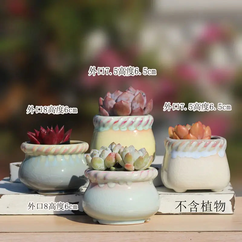 Combination Ceramic Breathable Small Flowerpot Cute Thumb Succulent Plant Flowerpot Home Mini Garden Bonsai Potted Flower Pot