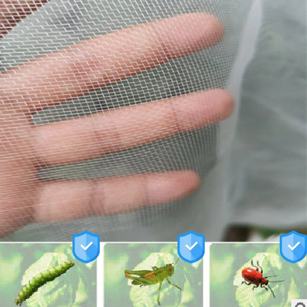 Plant Protection Bag Cover Netting Mesh for Fruit Vegetable Tree Barrier Strawberry Grapes Pest Control Anti-Bird Garden Tools