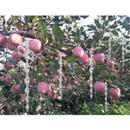 72/12Pcs Bird Repellent Wind Spiral Rotating Rod Hanging Ornaments Garden Decor Scare Pigeons Birds Repeller Outdoor Accessories