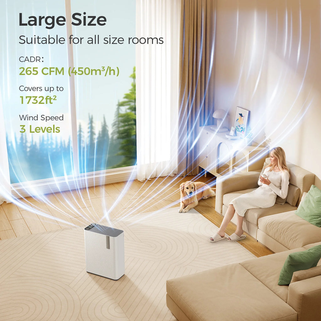  Air Purifier Combo for Home Allergies and Pets Hair  Smokers in Bedr