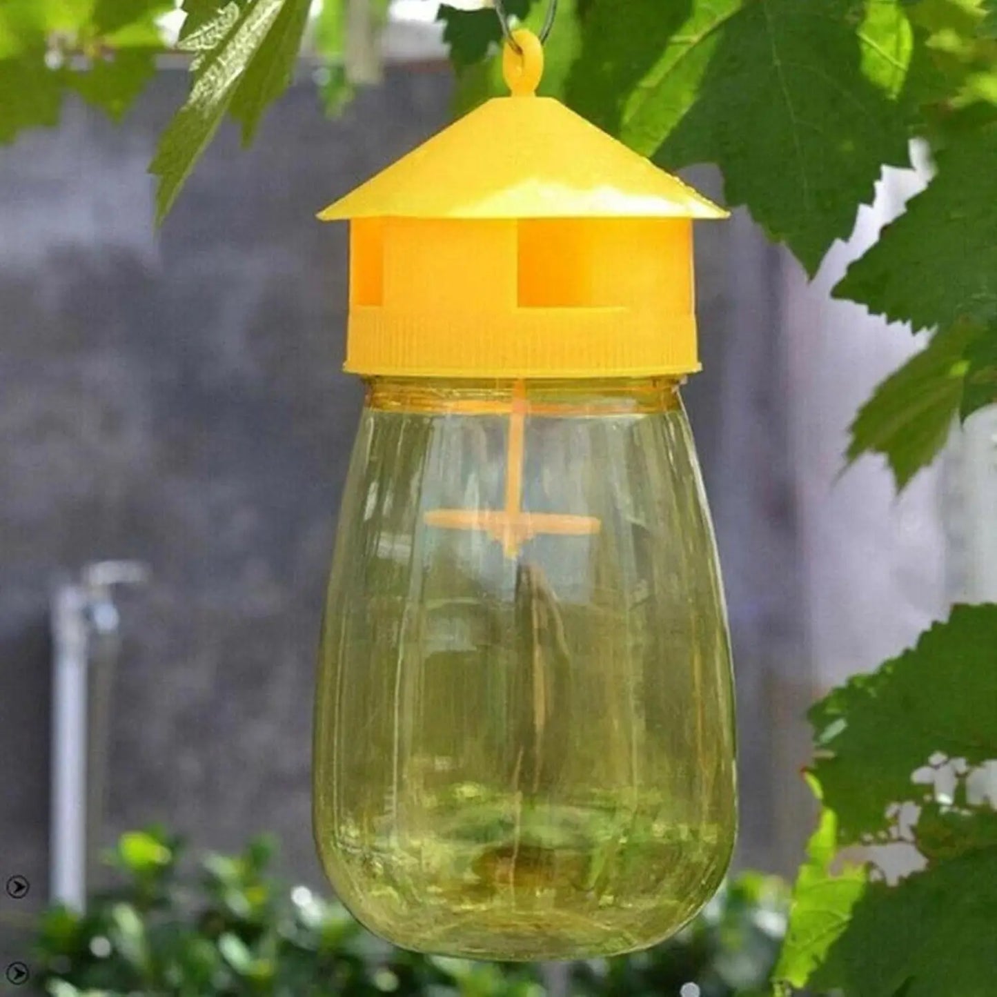 Reusable Fruit Fly Trap Killer Plastic Drosophila Mosquitoes Traps Bottle Garden Orchard Farm Insect Catcher Pest Control Tools