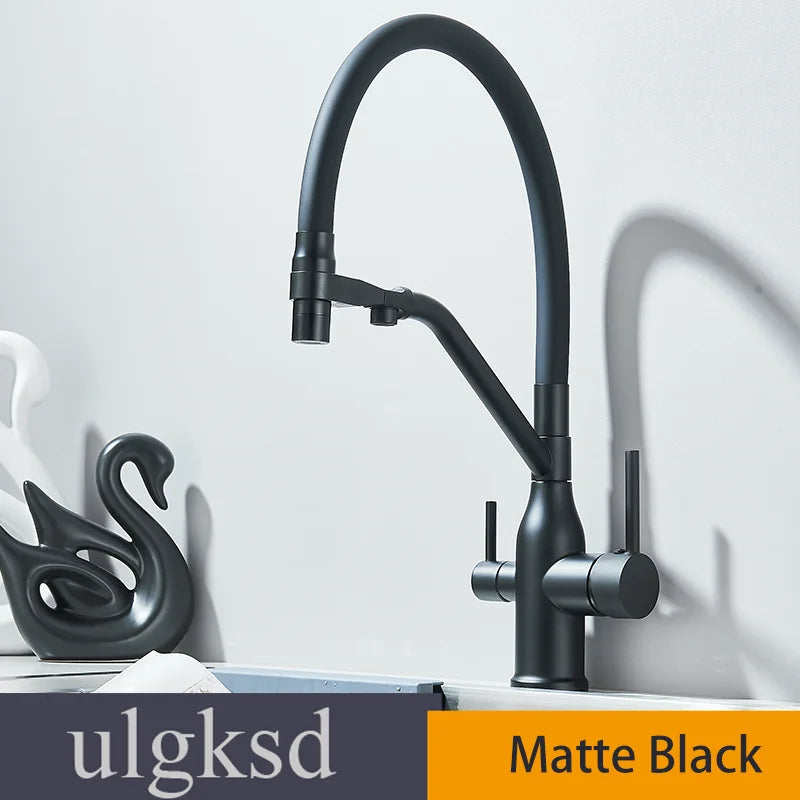 Kitchen Purified Water 2 Function Brass Cold and Hot Mix Faucet Black Flexible Water Pipe 360 Rotate Filtered Water Deck Install