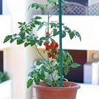 10-100pcs Plant Support Sticks Plants Green Plant Floral Vegetable Potted Tomato Supports Holder DIY Bouquets Decor Garden Tools