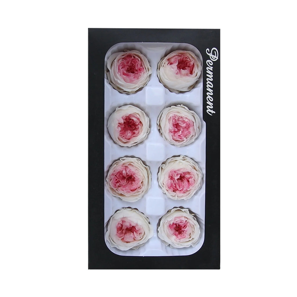 Eternal Life Flower A Level 4 5cm Key Chain Car Hanging Gift Box Flower Material Bridal Headwear Dry Autumn Flowers