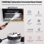 220V Home Appliances 1500W Steam Cleaner High temperature Jet Washer Range Hood for Kitchen Air Conditioner Car Cleaning Machin