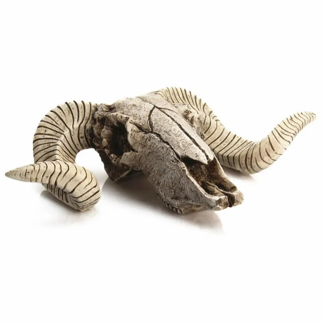 Vintage Sheep Head Skeleton Wall Hanging Resin Crafts Christmas Decoration Festival Sheep Horn Animal Head Wall Hanging Decor