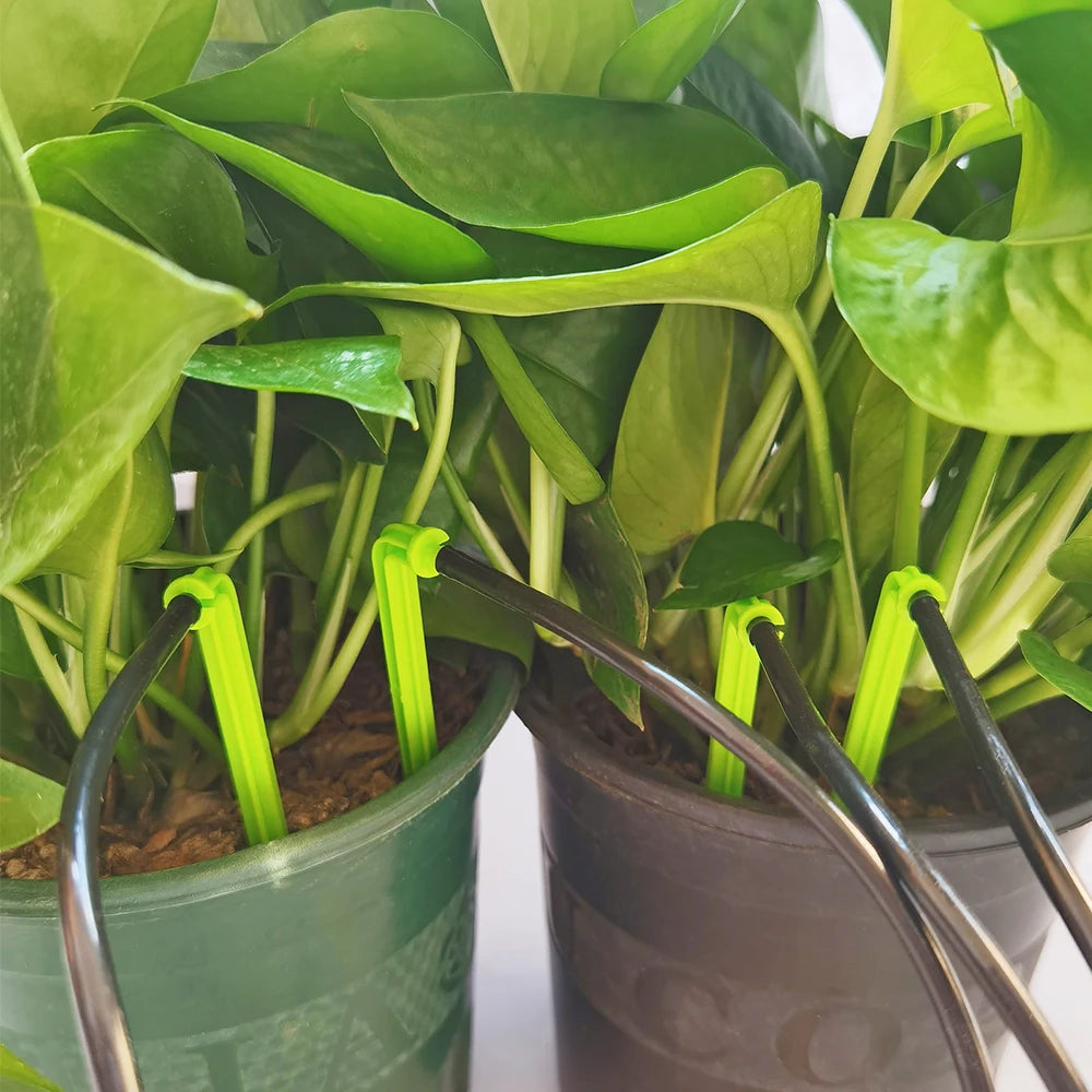 WUJIE 50-1000PCS 1/8'' Green Drippers 3/5mm Bending Arrow Emitters Garden Potted Irrigation Watering Micro Drip System Fittings