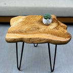 Live Edge Side Table, Wood End Table 16" L x 12" W x 17" T , Nightstand, Plant Stand  ，Unique desktop for Living Room