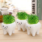 Cute Tooth Flowerpots Ceramic Garden Pots Planters Succulent Cactus Vases Decor Home Garden Decorative Tabletop Plant Pot