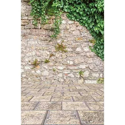 MOON.QG Leaves Trees Backgrounds Photography Accessories Flower Board Birthday Decorations Wedding Backdrop Wallpaper Shooting