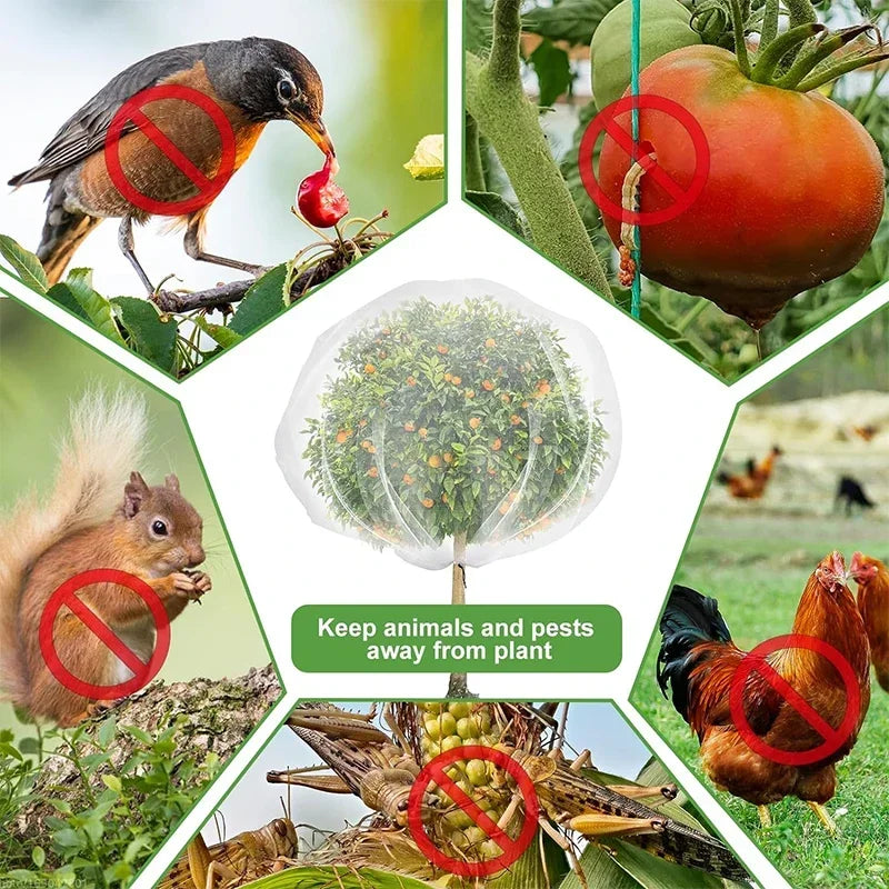 Large Fruit Tree Netting with Zip and Drawstring Garden Insect Screen Transparent Bird Plant Barrier Screen