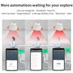 Smart Life Zigbee Human Presence Detector Tuya Wifi MmWave Radar Pir Montion Sensor With Luminance Detection For Smart Home