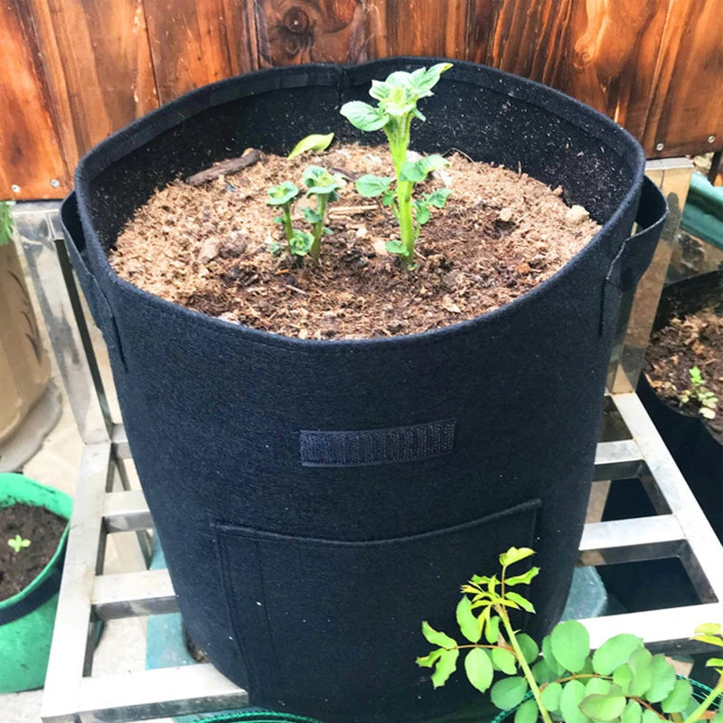10 Gallon 7 Gallon Potato Planting Bag Non-Woven Fabric Grow Pot Home Garden Strawberry Plant Grow Bag Push System
